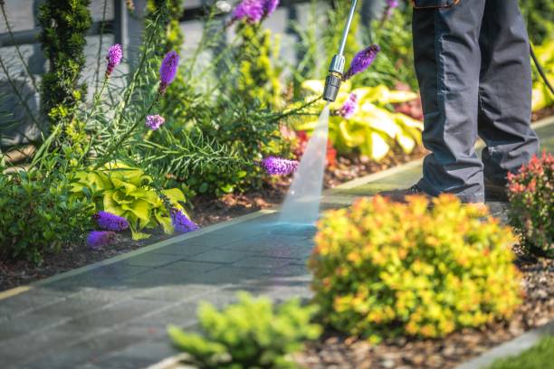 Best Residential Pressure Washing in Waukon, IA