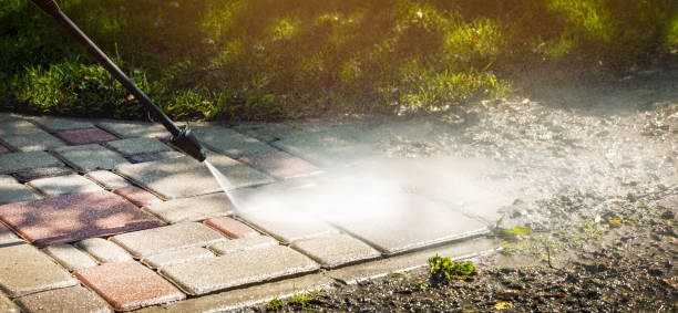 Best Roof Cleaning and Mildew Removal in Waukon, IA
